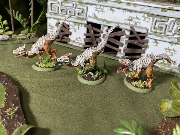 warden202010_raptors 02.jpg warden202010_raptors 02.jpg