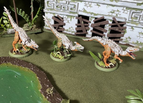 warden202010_raptors 03.jpg warden202010_raptors 03.jpg