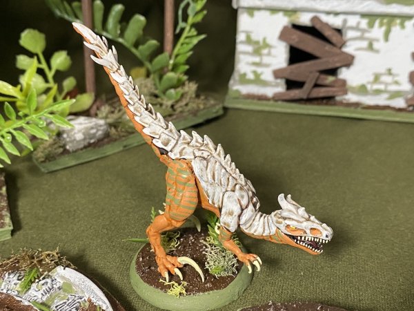 warden202010_raptors 04.jpg warden202010_raptors 04.jpg