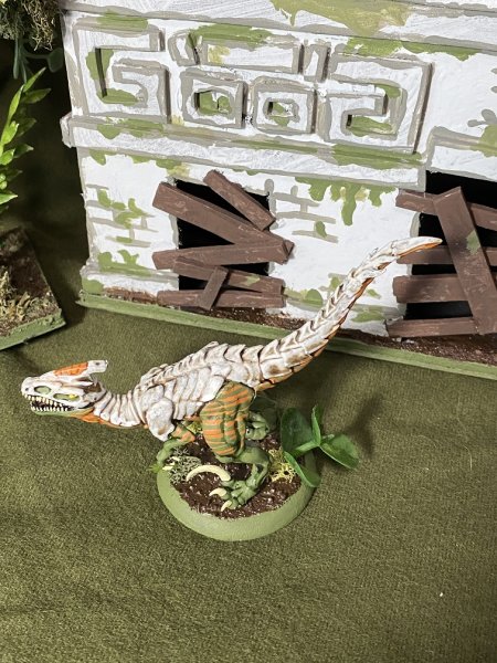 warden202010_raptors 05.jpg warden202010_raptors 05.jpg