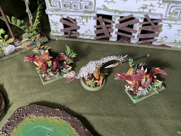 warden202010_raptors 07.jpg