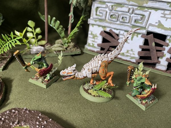 warden202010_raptors 10.jpg