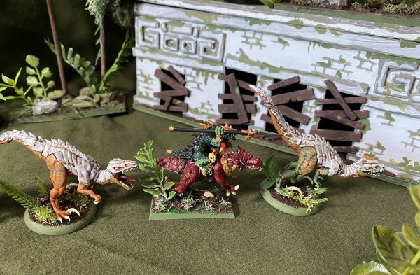 warden202010_raptors 13.jpg