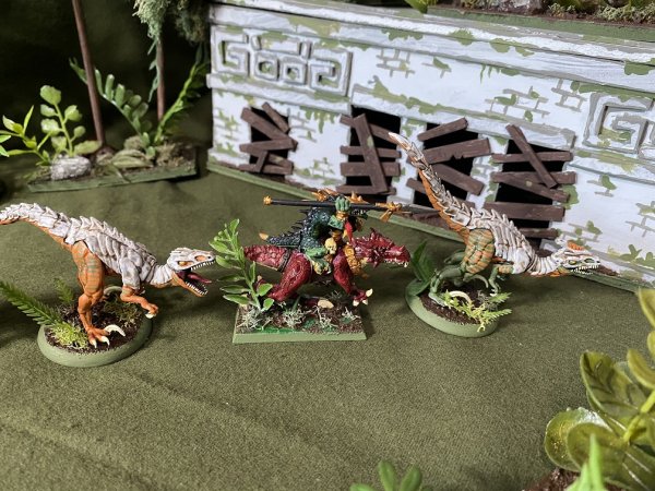 warden202010_raptors 12.jpg warden202010_raptors 12.jpg