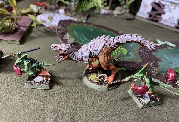 warden202010_raptors 11.jpg warden202010_raptors 11.jpg