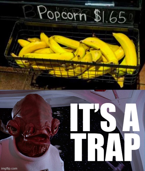 itsatrap.jpg