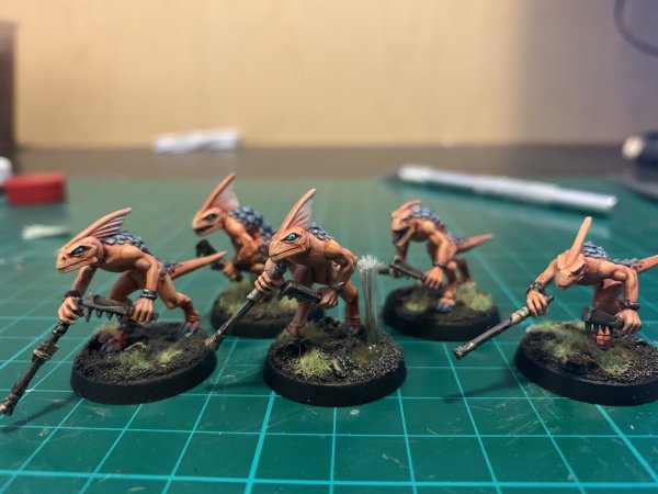 skinks.jpg