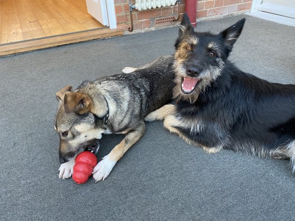 8A983D4D-A113-4F93-9CB5-DA58C3E77366.jpeg 8A983D4D-A113-4F93-9CB5-DA58C3E77366.jpeg