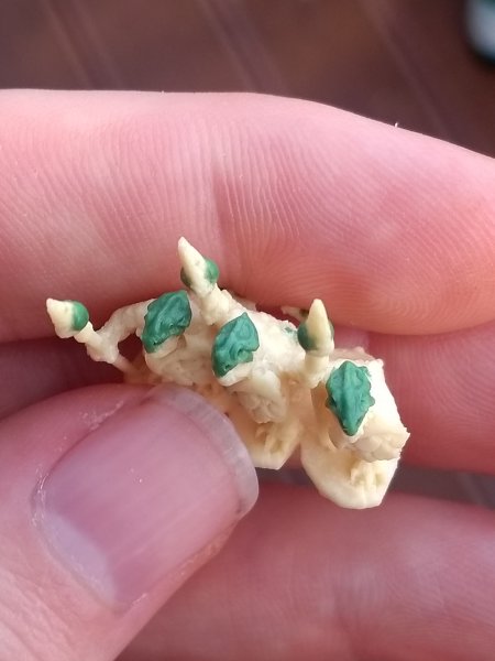 IMG_20201114_113914673.jpg IMG_20201114_113914673.jpg