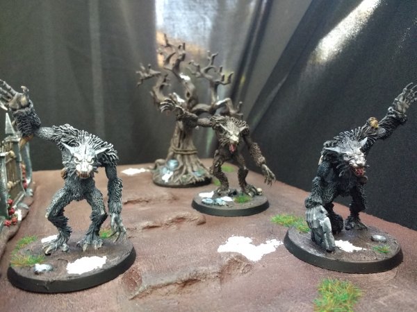 IMG_20201128_100806609.jpg IMG_20201128_100806609.jpg