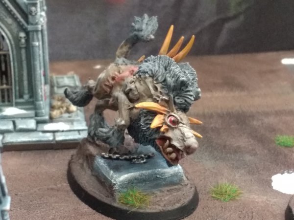 IMG_20201128_100819618.jpg IMG_20201128_100819618.jpg