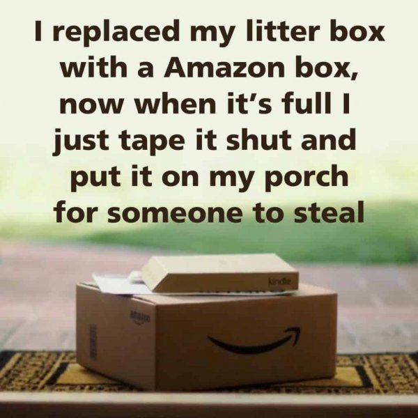 litter-funny-1024x1024.jpg