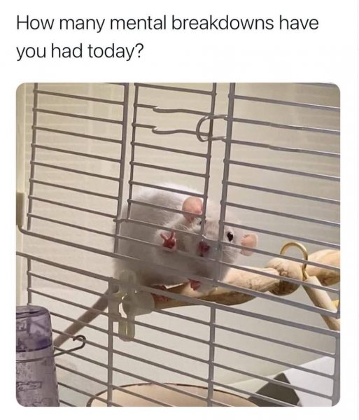 129939004_2849463941962722_5398285894335197828_o.jpg 129939004_2849463941962722_5398285894335197828_o.jpg