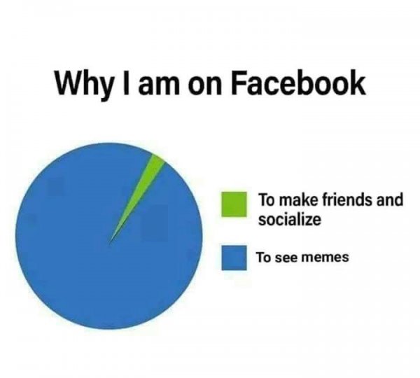 130493713_4059054347442601_8422732908454530995_n.jpg 130493713_4059054347442601_8422732908454530995_n.jpg