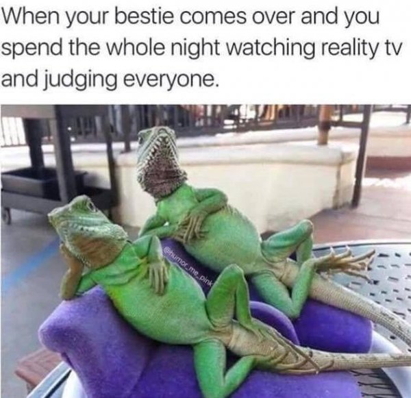 130587790_4061456187202417_2706573216280129652_n.jpg 130587790_4061456187202417_2706573216280129652_n.jpg