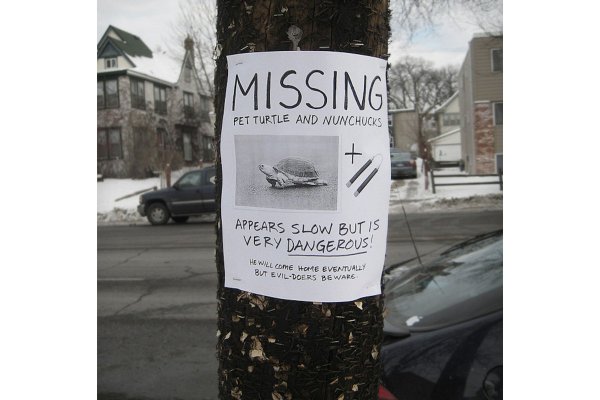 missing-turtle-nunchucks-sign.jpg