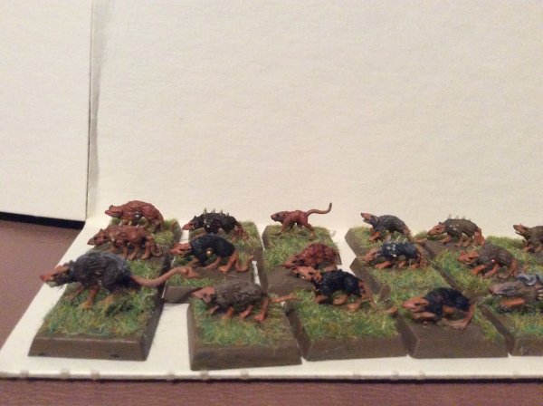 IMG_1832.JPG IMG_1832.JPG