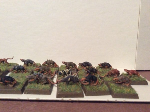 IMG_1833.JPG IMG_1833.JPG