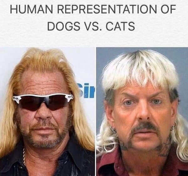 human-representation-of-dogs-vs-cats-meme.jpg