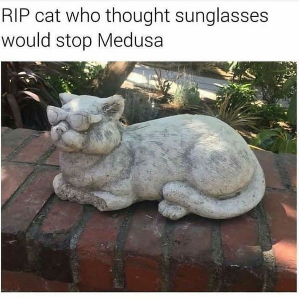 cat-meme-77.jpg