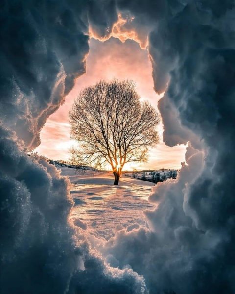 129929578_4815464761829056_7550797834902843937_n.jpg 129929578_4815464761829056_7550797834902843937_n.jpg