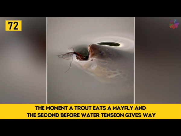 IMG_2651~photo.PNG IMG_2651~photo.PNG