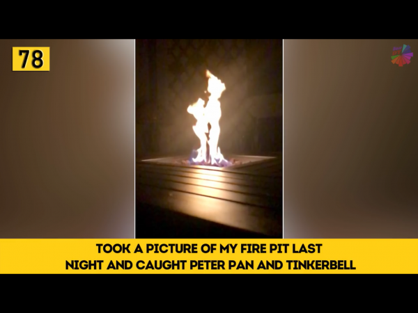 IMG_2655~photo.PNG IMG_2655~photo.PNG