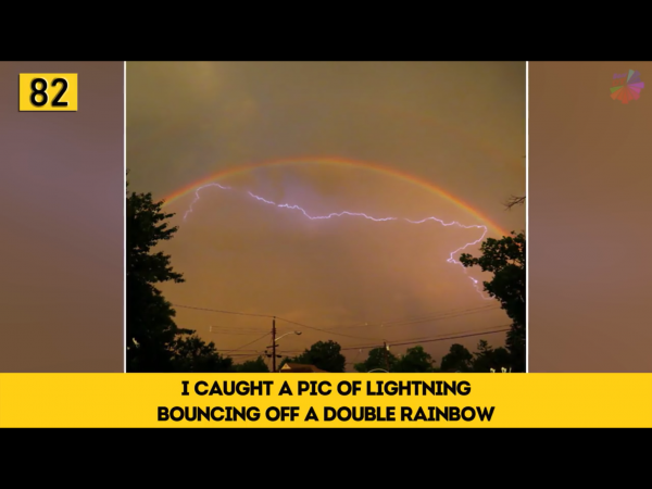 IMG_2659~photo.PNG IMG_2659~photo.PNG