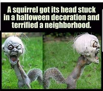 Squirrel halloween decoration.jpg