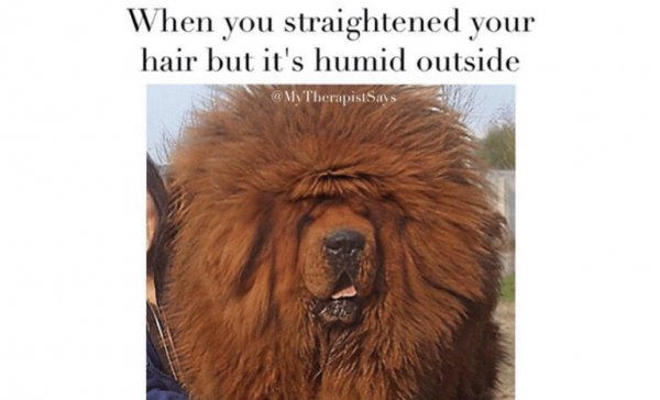 Funny-Hair-Memes.jpg