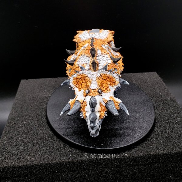 20210129_004519.jpg 20210129_004519.jpg