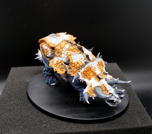 20210128_233540.jpg 20210128_233540.jpg