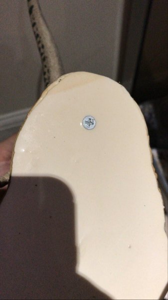 IMG_20210208_135545_131.jpg IMG_20210208_135545_131.jpg