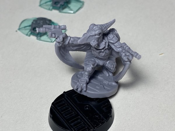 warden202102_skywing infiltrator unpainted 1.jpg warden202102_skywing infiltrator unpainted 1.jpg