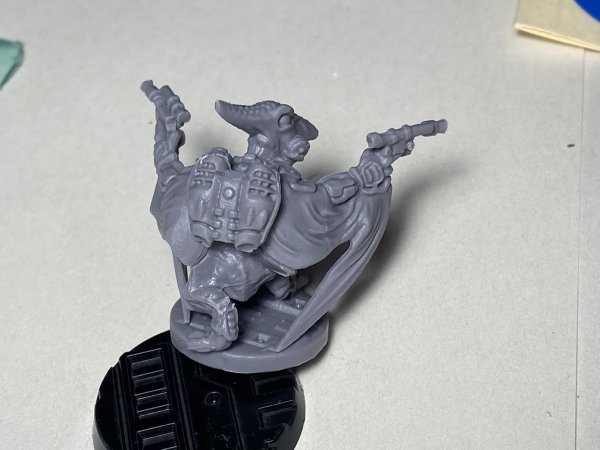 warden202102_skywing infiltrator unpainted 2.jpg warden202102_skywing infiltrator unpainted 2.jpg