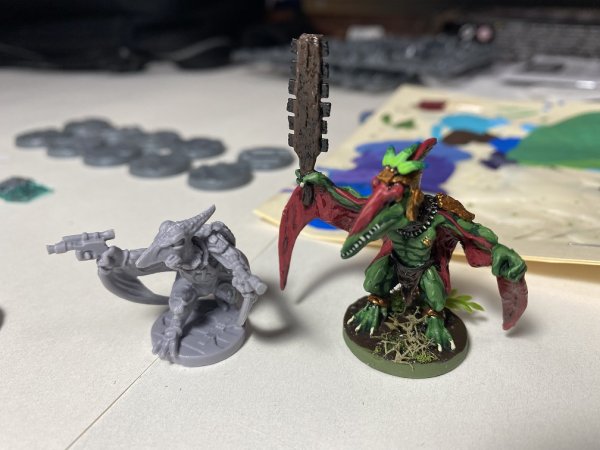 warden202102_skywing infiltrator unpainted 3.jpg warden202102_skywing infiltrator unpainted 3.jpg