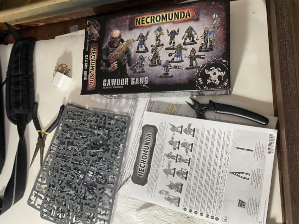 warden202102_cawdor WIP 1.jpg warden202102_cawdor WIP 1.jpg