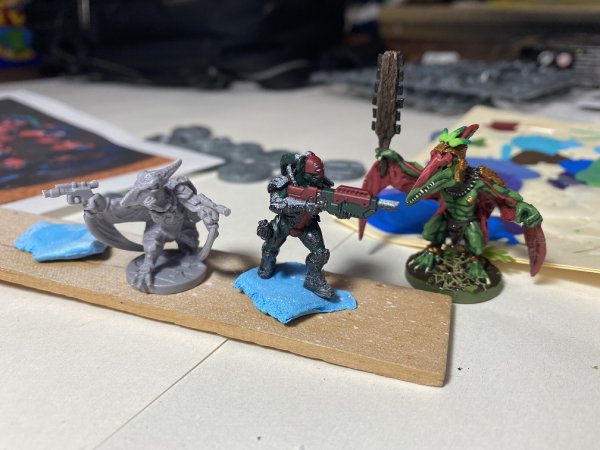 warden202102_skywing infiltrator unpainted 4.jpg warden202102_skywing infiltrator unpainted 4.jpg