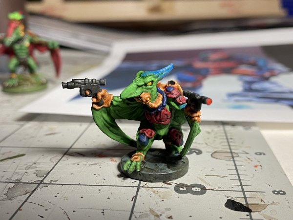 warden20210219_skywing infiltrator complete 1.jpg warden20210219_skywing infiltrator complete 1.jpg