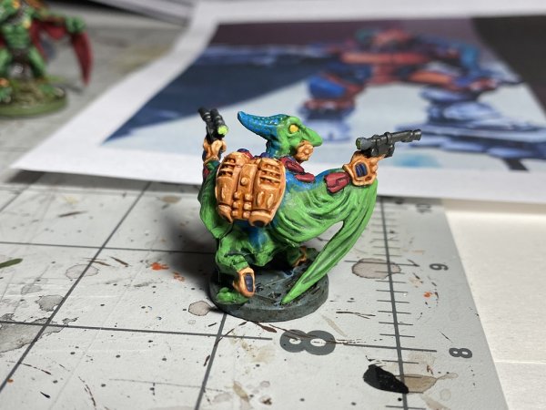 warden20210219_skywing infiltrator complete 3.jpg warden20210219_skywing infiltrator complete 3.jpg