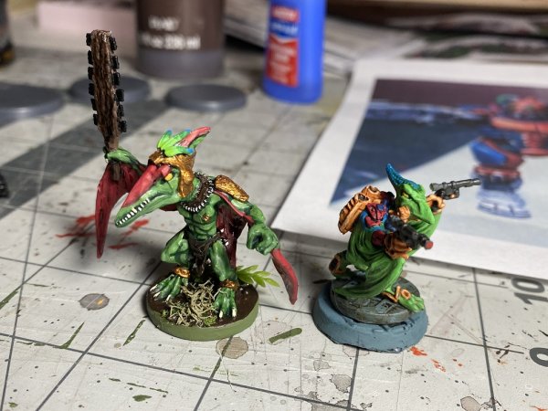 warden20210219_skywing infiltrator complete 7.jpg warden20210219_skywing infiltrator complete 7.jpg