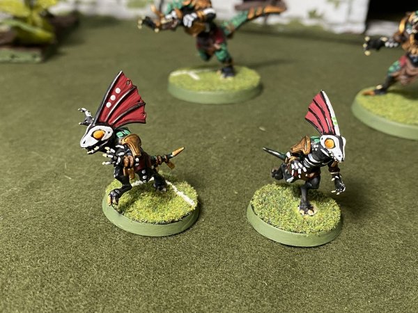 warden20210221_bloodbowl_skinks 1.jpg