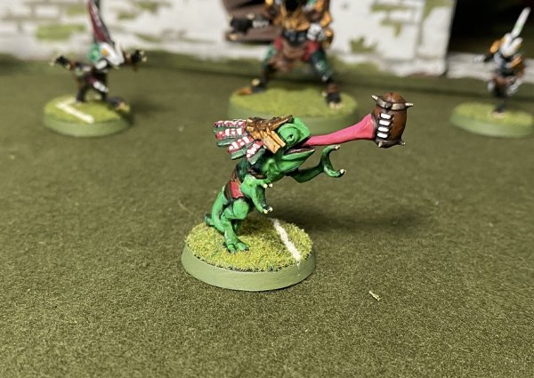 warden20210221_bloodbowl_chameleon 1.jpg