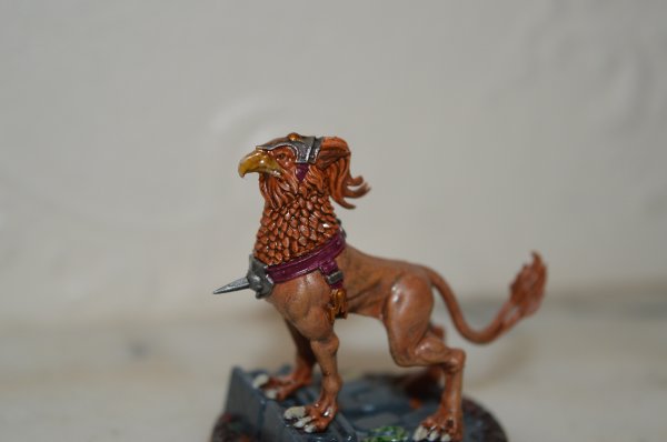 Gryph hound 3.jpg Gryph hound 3.jpg