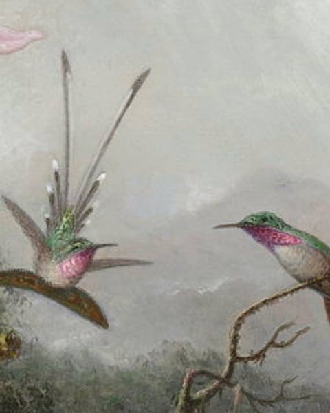 IMG_20210314_235556_772.jpg IMG_20210314_235556_772.jpg