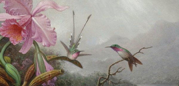 Screenshot_20210314-173226_Gallery.jpg Screenshot_20210314-173226_Gallery.jpg