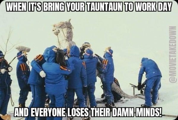 160196378_2883586675197018_2718940217622782686_n.jpg 160196378_2883586675197018_2718940217622782686_n.jpg