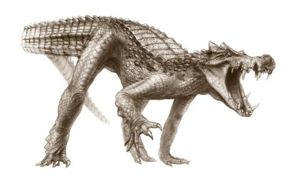Kaprosuchus_saharicus.jpg Kaprosuchus_saharicus.jpg