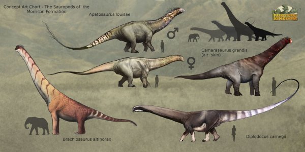 prehistoric_kingdom___morrison_formation_sauropods_by_moricemonkey93_dbvuiay-fullview.jpg