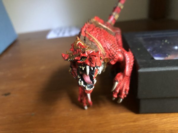 IMG-3153.jpg IMG-3153.jpg